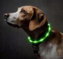 Obroża dla psa LED świecąca regulowana USB24-60cm