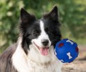 Piłka dla psa piszcząca zabawka 7,5 cm niebieska