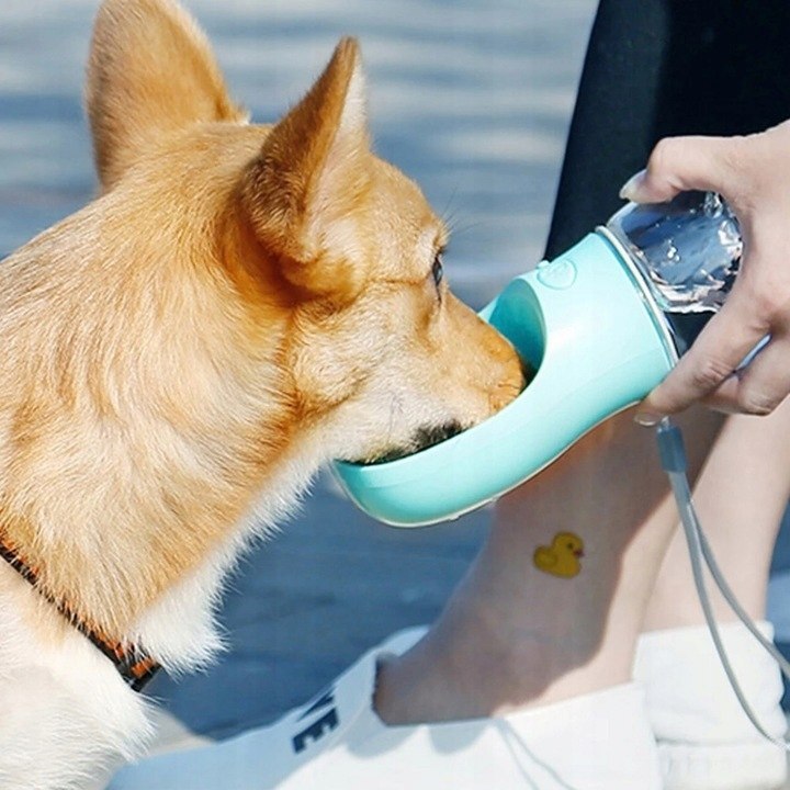 Butelka na wodę dla psa z miseczką 550 ml